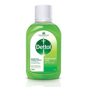 Dettol Lime Fresh Disinfectant Liquid 250ml