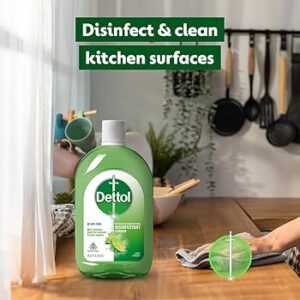 Dettol Lime Fresh Disinfectant Liquid 550ml